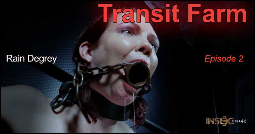 PaliVideo - Rain DeGrey Transit Farm