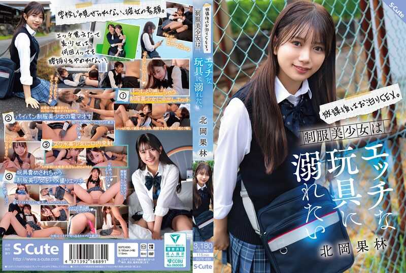 PaliVideo - เซ็กส์ค้างคืนหลังเลิกเรียน สาวสวยชุดนักเรียนอยากถูกของเล่นทะลึ่งสังหาร - คิตาโอกะ คาริน