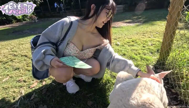 PaliTube - ไดอารี่การเดินทางของนีน่า ครูสอนภาษาอังกฤษที่ล้มเหลว