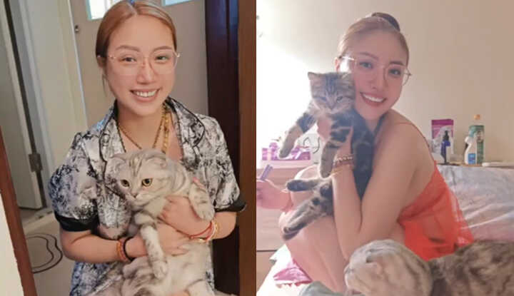 PaliTube - คุณอยากมาบ้านของเม้งเม้งเพื่อดูแมวไหม?