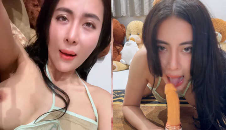 PaliTube - ของเล่นคู่