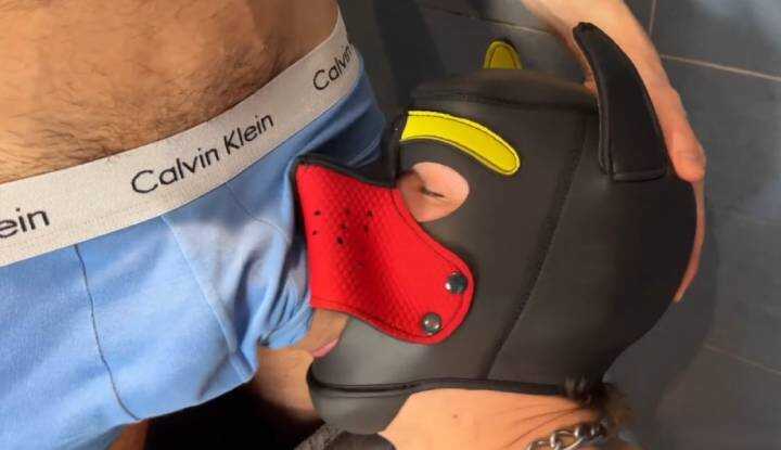 PaliTube - เทพเจ้าแห่ง O Station ของ Maxime Andolini~ หรือสัตว์เลี้ยงมนุษย์หมาตัวนี้เชื่อฟังที่สุด?