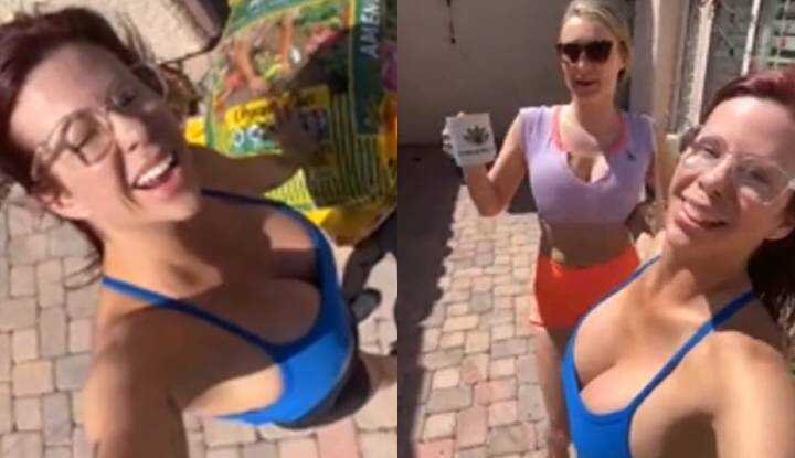 PaliTube - Alexis Fawx - อาบแดดเพลินๆ กับเพื่อนบ้านนมโต OnlyFans video leaked.