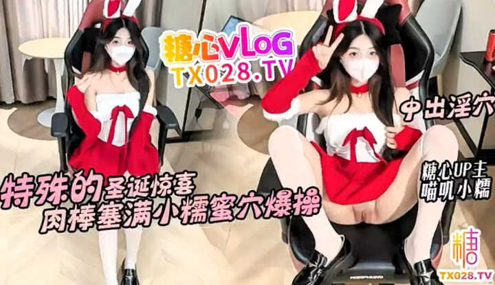 PaliTube - เซอร์ไพรส์คริสต์มาสสุดพิเศษ: ยัดควยเต็มรูหีแล้วกระแทกแรงๆ