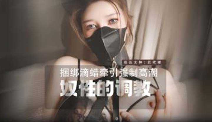 PaliTube - เมื่อแมวสาวยั่วสวาท ถูกมัด ซาดิส บังคับสำเร็จความใคร่