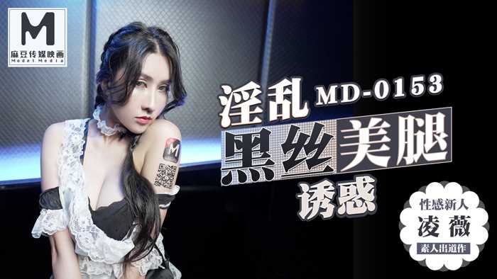 PaliTube - ถุงน่องสีดำยั่วยวนยั่วยวนใจ โมเดล KTV บริการทางเพศพิเศษ (MD0153)