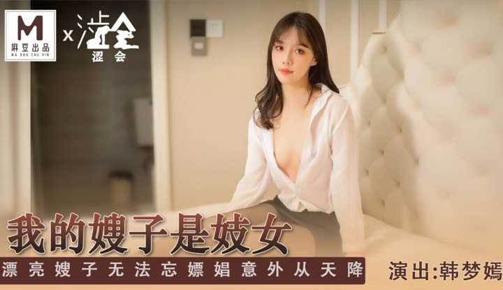 PaliTube - พี่สะใภ้ของฉันเป็นโสเภณี พี่สะใภ้ที่สวยงามไม่สามารถลืมการค้าประเวณีและอุบัติเหตุตกจากฟ้าได้ (หุ้นส่วนดั้งเดิมของ Madou - Shihui SH004)