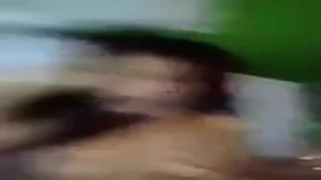 PaliTube - คลิปหลุดดาราสาวในตำนาน