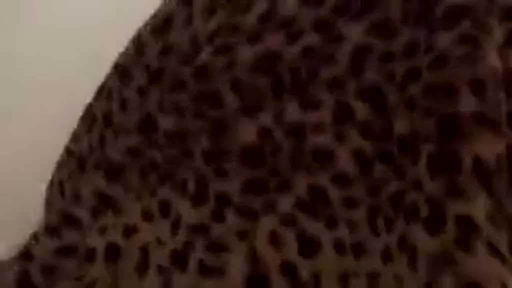 PaliTube - คลิปเย็ดมืดไปหน่อย แต่ก็มันอยู่นะ