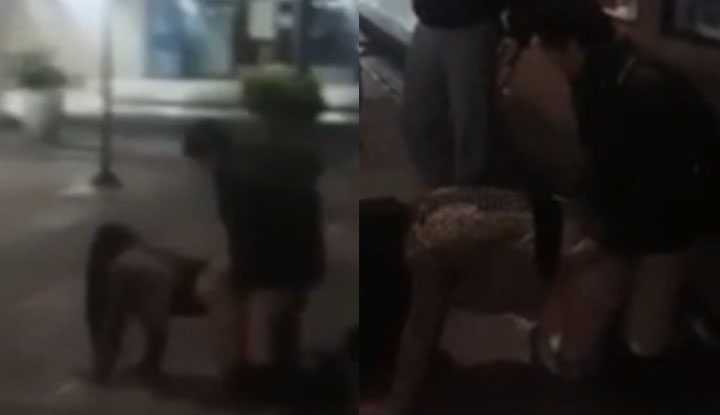 PaliTube - หนุ่มสาวใจกล้าเย็ดโชว์สดๆ
