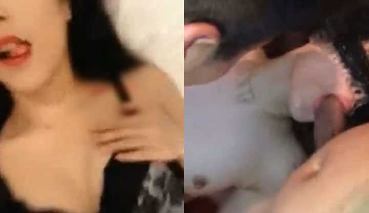 PaliTube - เน็ตไอดอลสาวนัดแฟนคลับวีไอพีมาเย็ดในโรงแรม