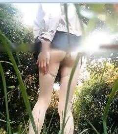 PaliTube - พี่แท็กซี่คะเรามาจอดรถเย็ดกันในป่าไหม