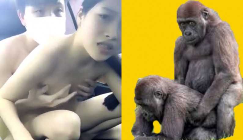 PaliTube - อายุ19 ก็ใช้หีสูบบุหรี่ได้แล้ว แถมยังยอมใฟ้แตกในอีก งานดีจริงๆ