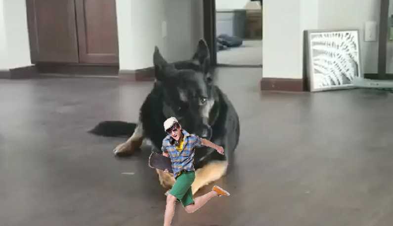 PaliTube - น้องหมาอยากกัดของเล่นของแม่ดิ