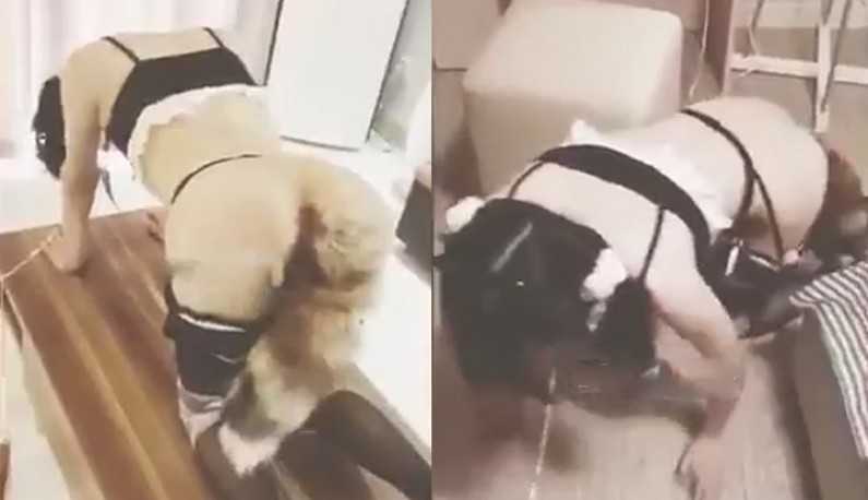 PaliTube - สั่งสอนเมดเงี่ยน