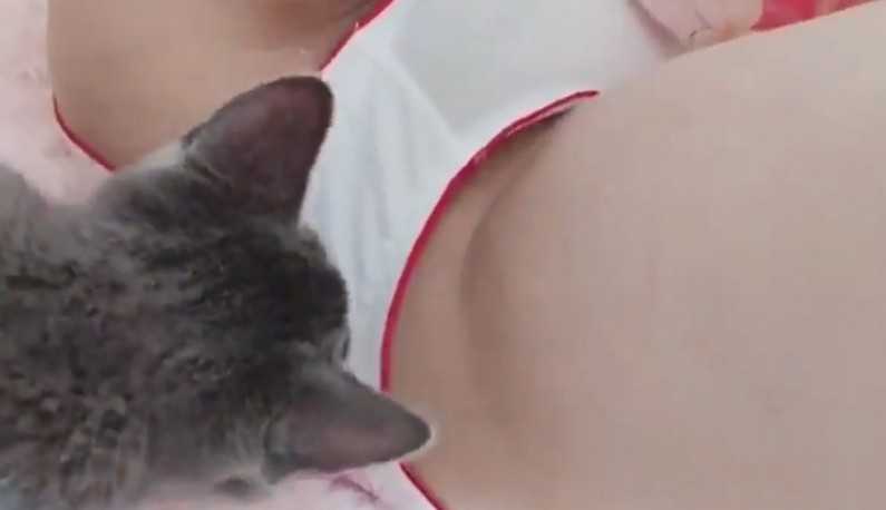 PaliTube - แมวน้อยขี้สงสัย ดมหีของพี่สาวใหญ่เลย