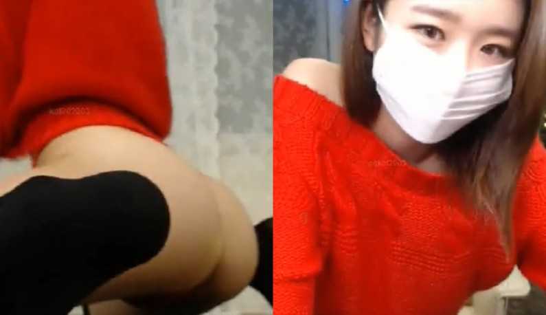 PaliTube - สาวเซ็กซี่เอากับหมีจนหมีเคลิ้มไปเลยแหละ