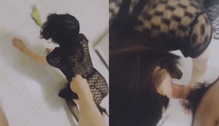 PaliTube - จงคลานมาอมควยให้พี่ซะ