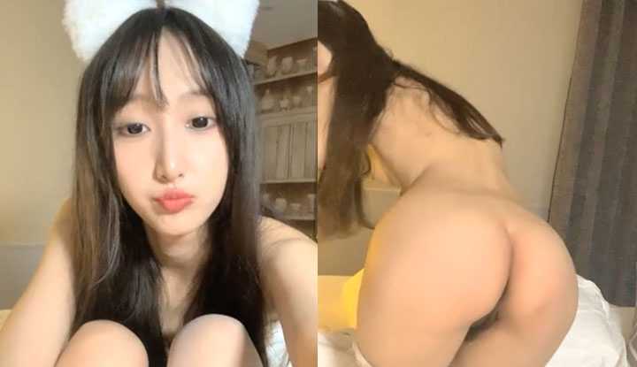 PaliTube - แมวร้อยแวะมาไลฟ์สด ใครอยากพาหนูกลับบ้านบ้างคะ