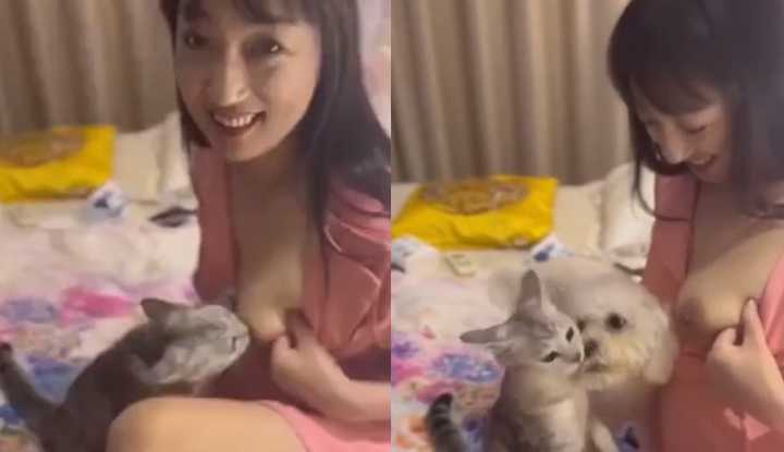 PaliTube - คลิปหลุด  สาววัยใสลองเอานมให้แมวกิน