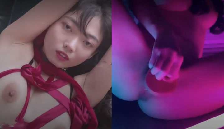 PaliTube - ฉันคือของขวัญคริสต์มาสนีโกะ
