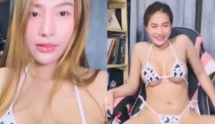 PaliTube - คลิปหลุด น้องแจง ไลฟ์สดจัดเต็มคาชุดบิกินี่ลายวัวสาวสวยนมใหญ่แม่โคนม เต้นยั่วควยครางยั่วเย็ดแหกขาหีขาวอูมเต้นโชว์จนเงี่ยนหีแฉะ