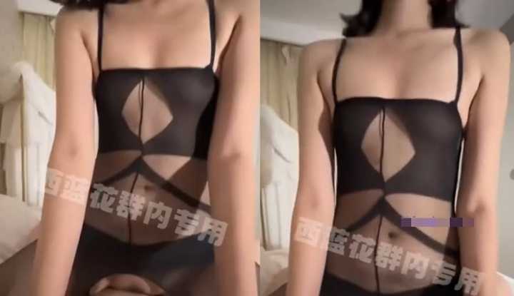 PaliTube - ปรมาจารย์ทวิตเตอร์, บรอคโคลีผัด, กระโดดบนหัวจิ๊กโก๋ใหญ่