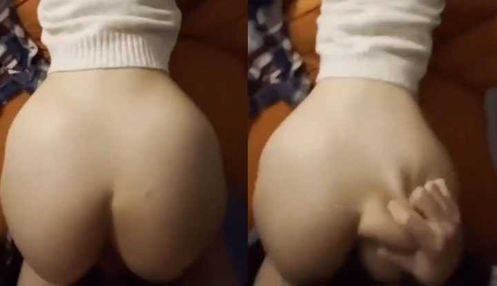 PaliTube - ก้นของสุนัขตัวเมียที่ใส่แว่นตากระโดดโลดเต้น และรู้สึกดีเป็นพิเศษเมื่อชนเข้าไป