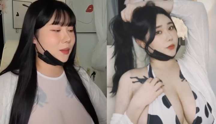 PaliTube - เสียงหมู่จากพี่สาวราชวงศ์ที่เย็นชาไปสู่วัวที่ชั่วร้าย