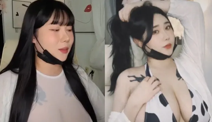 PaliTube - เสียงหมู่จากพี่สาวราชวงศ์ที่เย็นชาไปสู่วัวที่ชั่วร้าย