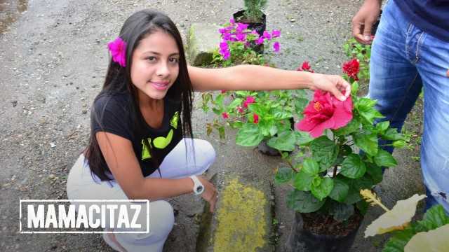 PaliTube - นาวละติน หีสวย โดนเย็ดแรง