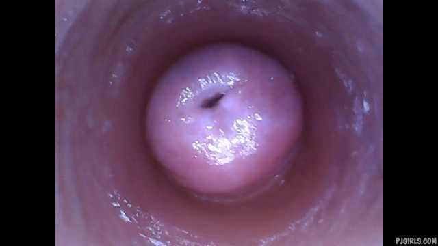 PaliTube - Kira - Kinky selfie (endoscope pussy cam video)