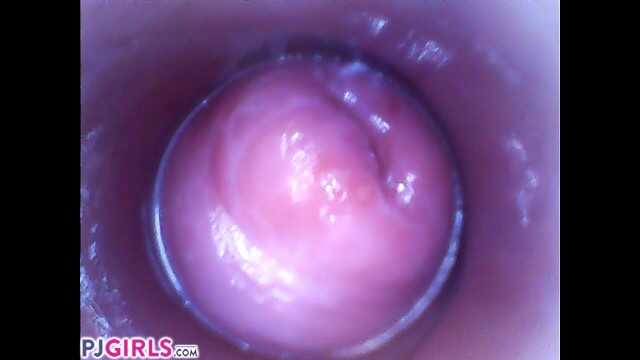 PaliTube - PJGIRLS Silvia DeLuxe sticks camera inside her vagina RAW pussy cam footage